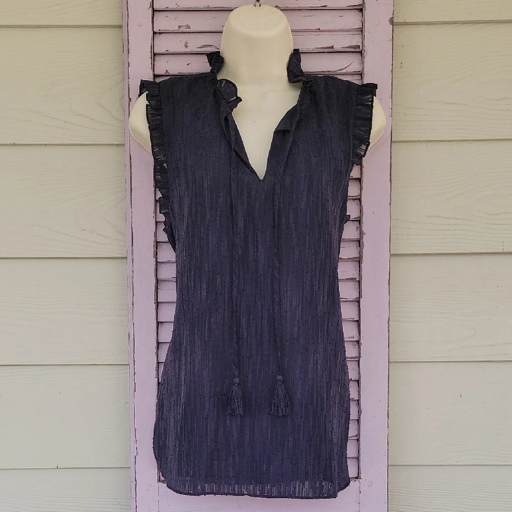 NWT ๐ JOIE Chic Ruffle Sleeveless V-Neck Lined Blouse Top M - Picture 1 of 10